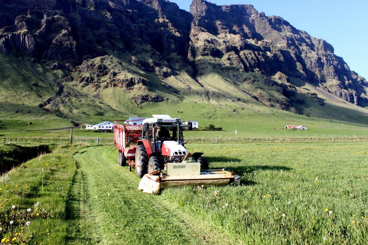South Iceland Guesthouse Steinar Exteriér fotografie